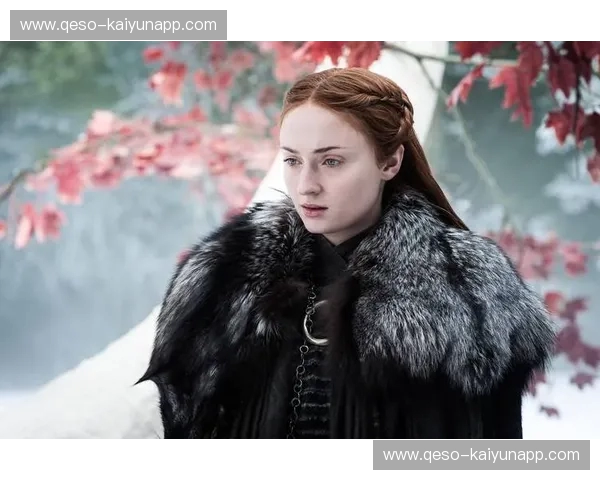 冰与火之歌:达拉斯与西雅图,两种截然不同的美国生活画卷 冰与火之歌:达拉斯与西雅图,两种截然不同的美国生活画卷